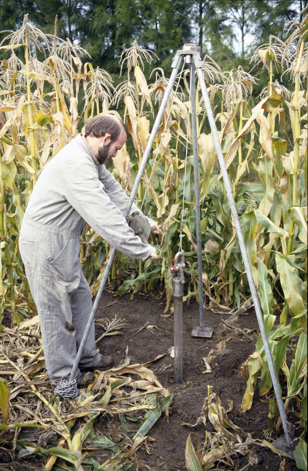 Tube withdrawal from permaculture bed