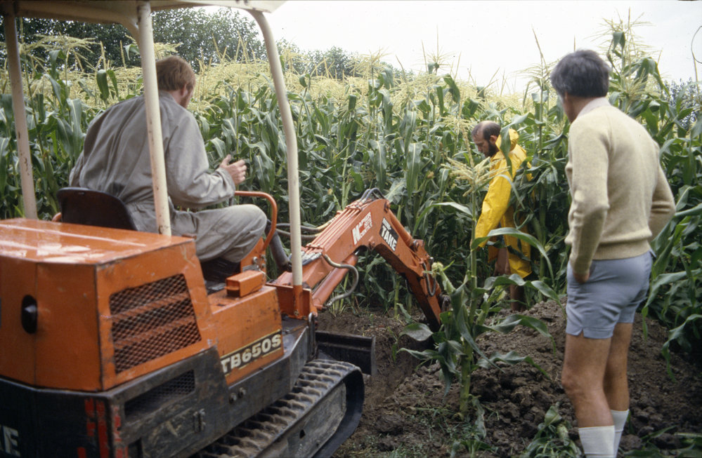 Digging an observation pit