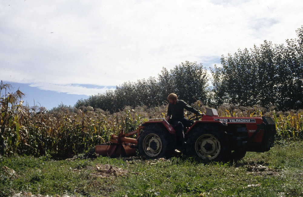 Backfilling the observation pit