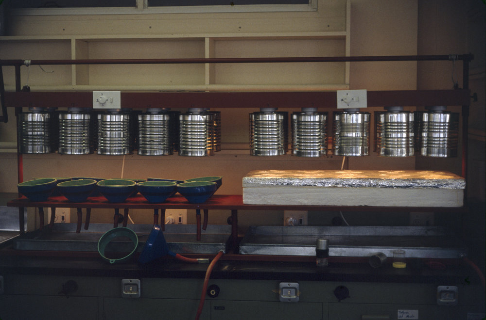 Berlese-Tullgren funnels