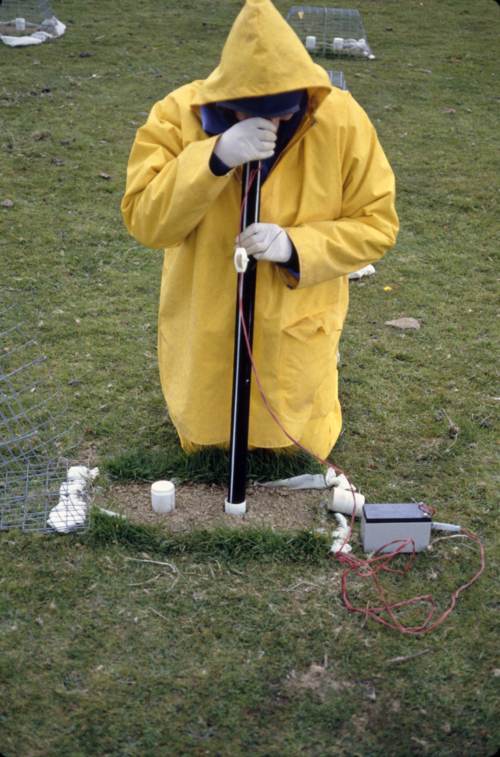 Earthworm root experiment. 1. Periscope view
