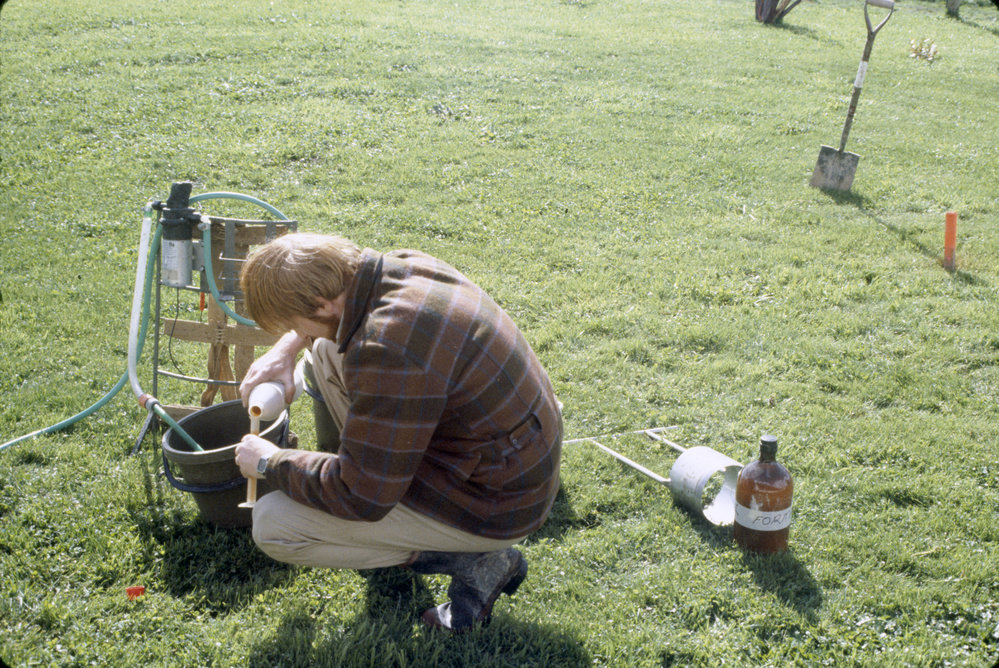 Earthworm population sampling