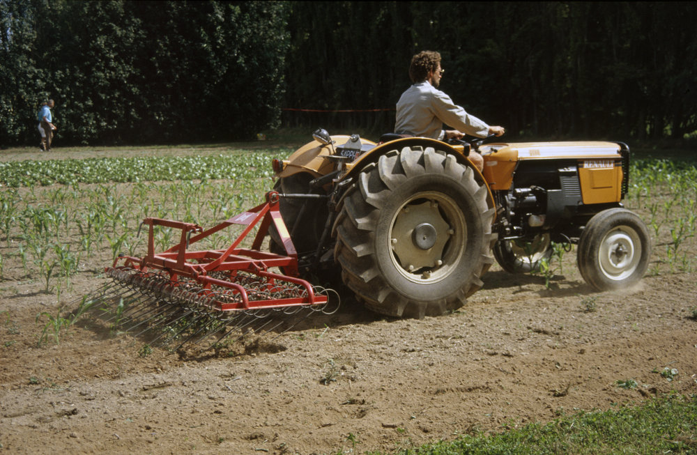 Lely rotary harrow. 1. In action