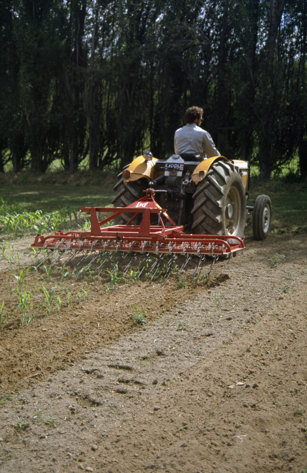 Lely rotary harrow. 3. Rear view