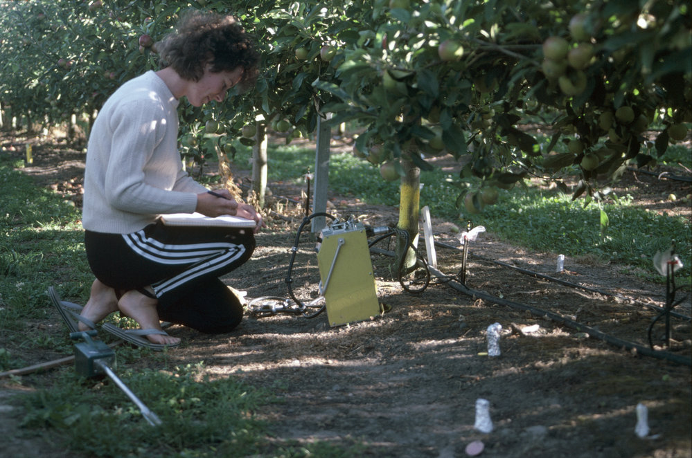 Soil moisture sensor. 2. Working in the field