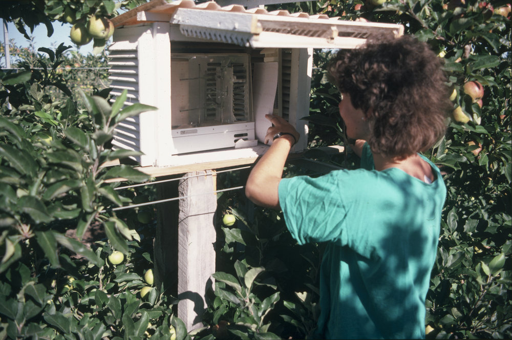 Stevenson screen. 2. Checking the instruments