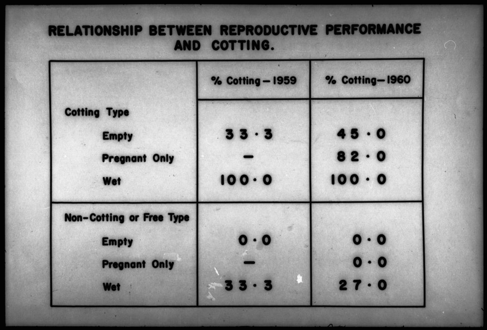 Relationship between reproductive performance and cotting
