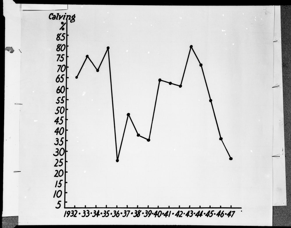 Bovine trichomoniasis: calving percentage, 1932-1947