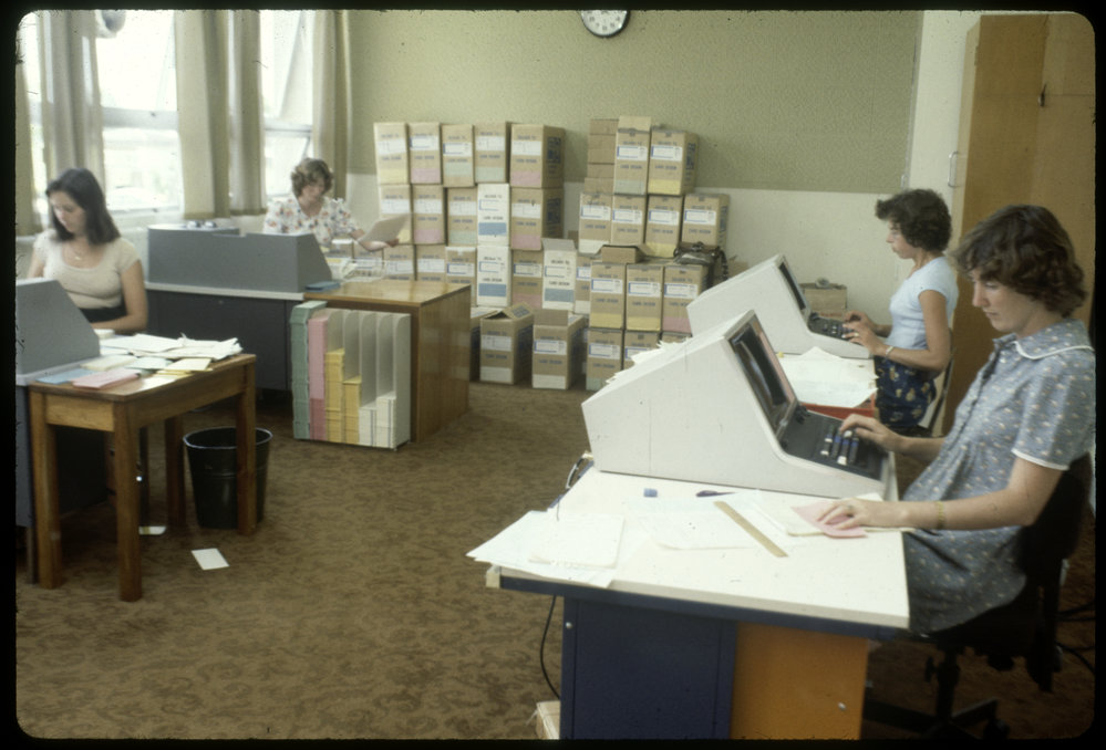 Statisticians generating punch cards