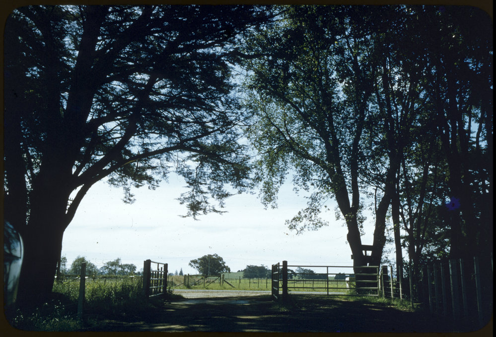 Gateway to Number 2 Dairy, Ruakura