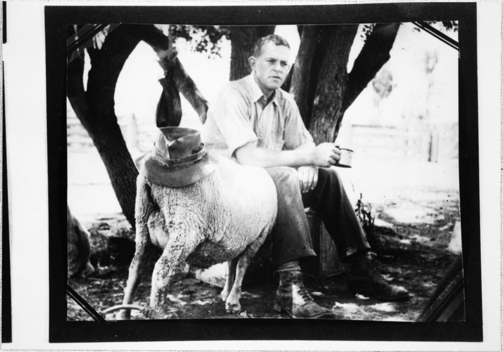 Male with a ram wearing a hat