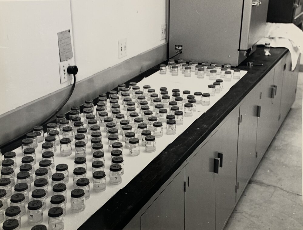 Soil Chemistry Laboratory - 4 of 6