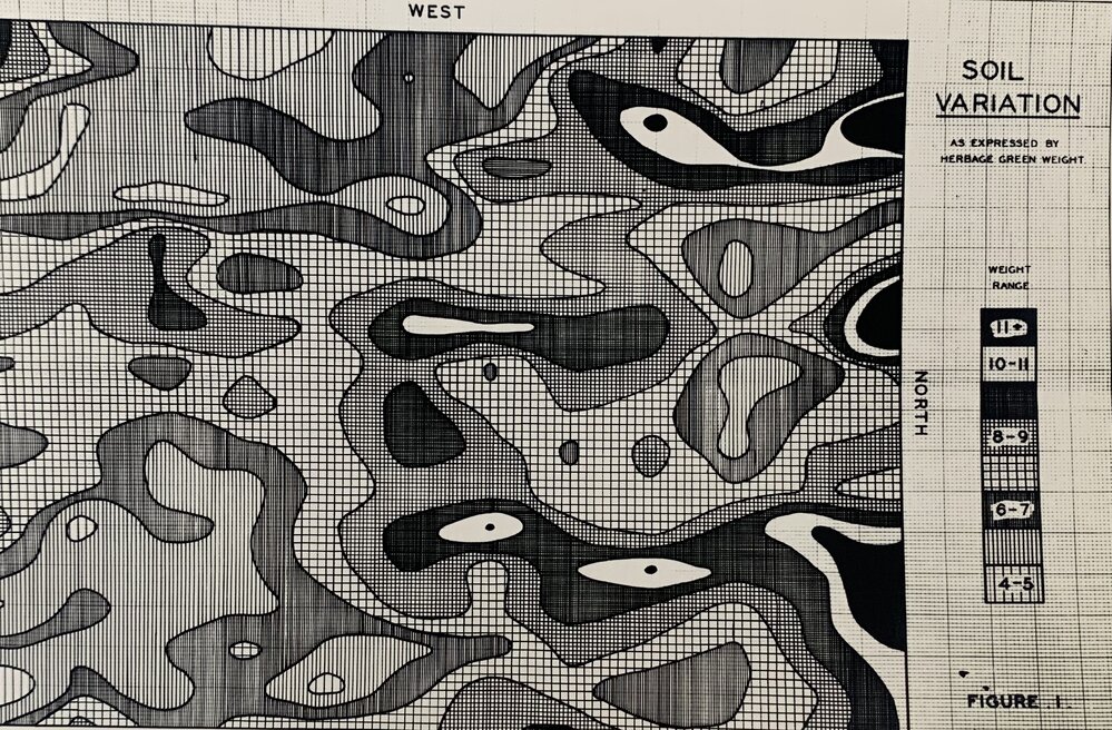 Herbage green weight