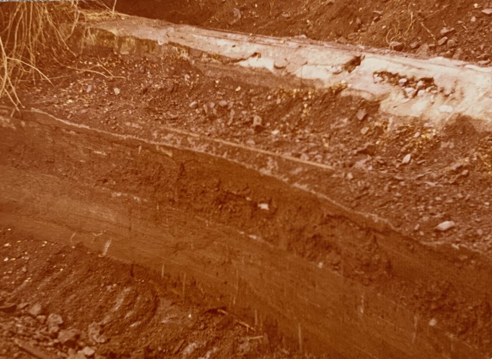 Soil profiles - 3 of 3