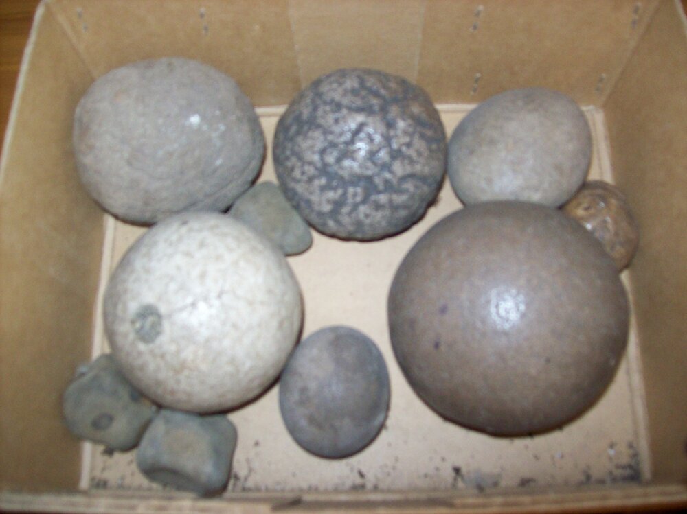 Wallaceville Hairball Specimens from Cattle