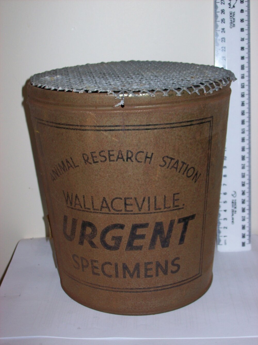 Wallaceville Specimen Bucket