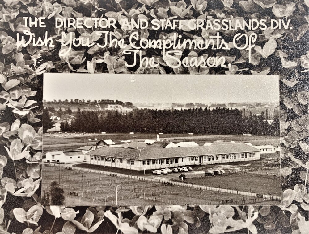 Grasslands Division - Greeting card