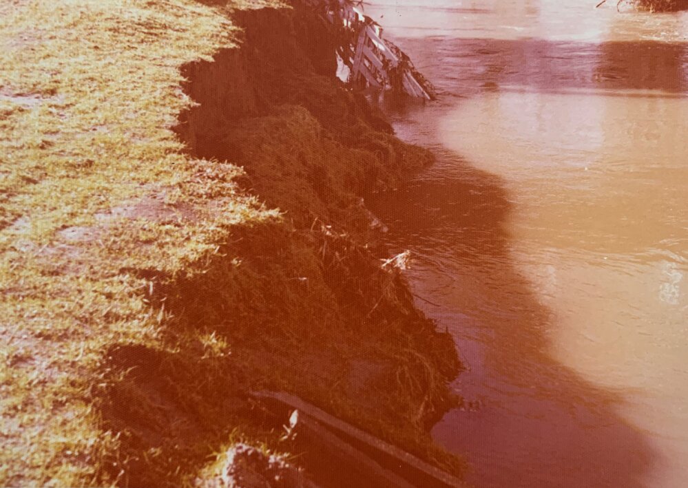Stream Bank Erosion at Palmerston North