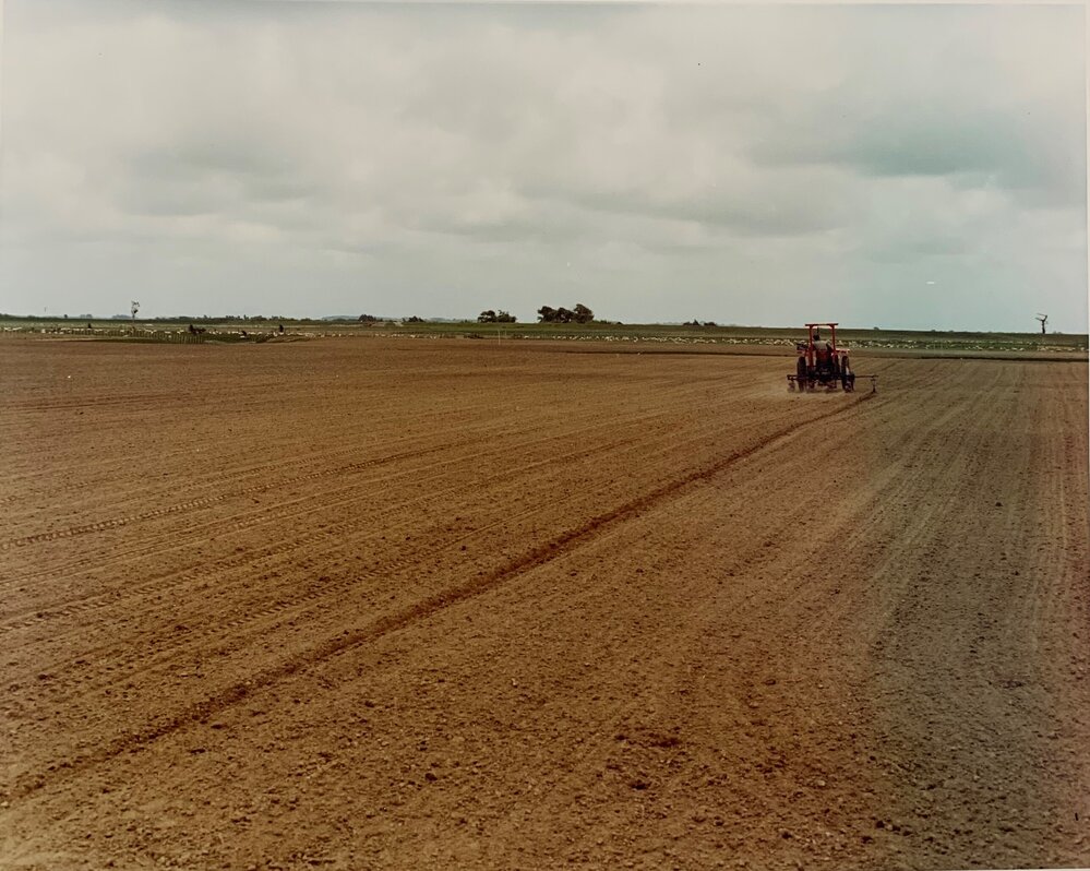 John James driving the Stanhay precision seeder at Aorangi 