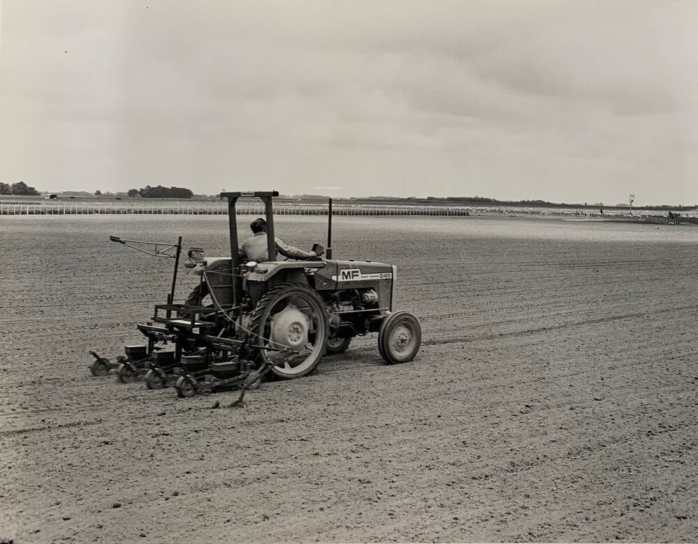 John James driving the Stanhay precision seeder at Aorangi - B&amp;W version