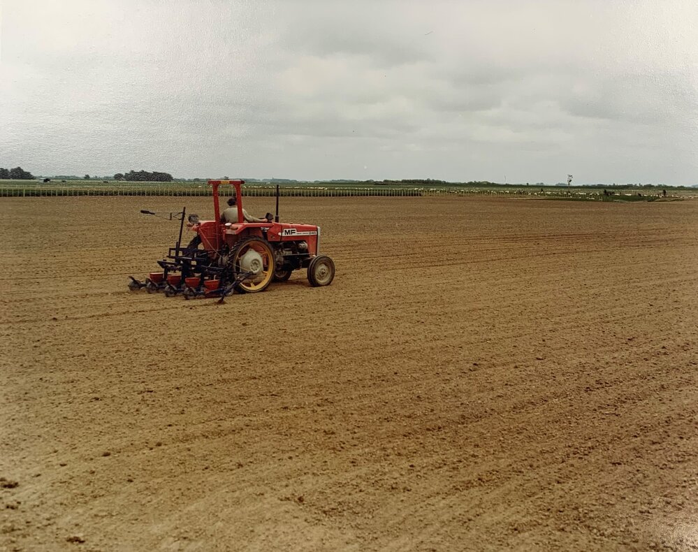 John James driving the Stanhay precision seeder at Aorangi - seed sowing