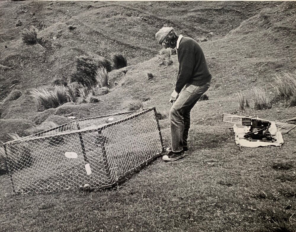 Establishment trial at Ballantrae