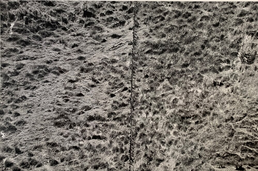 Grazing Impact on Hill Country