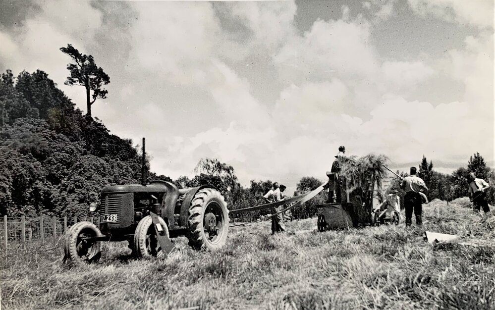 Perennial ryegrass harvesting