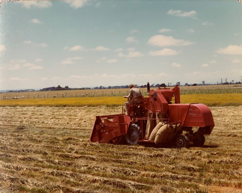 Massey Ferguson harvester