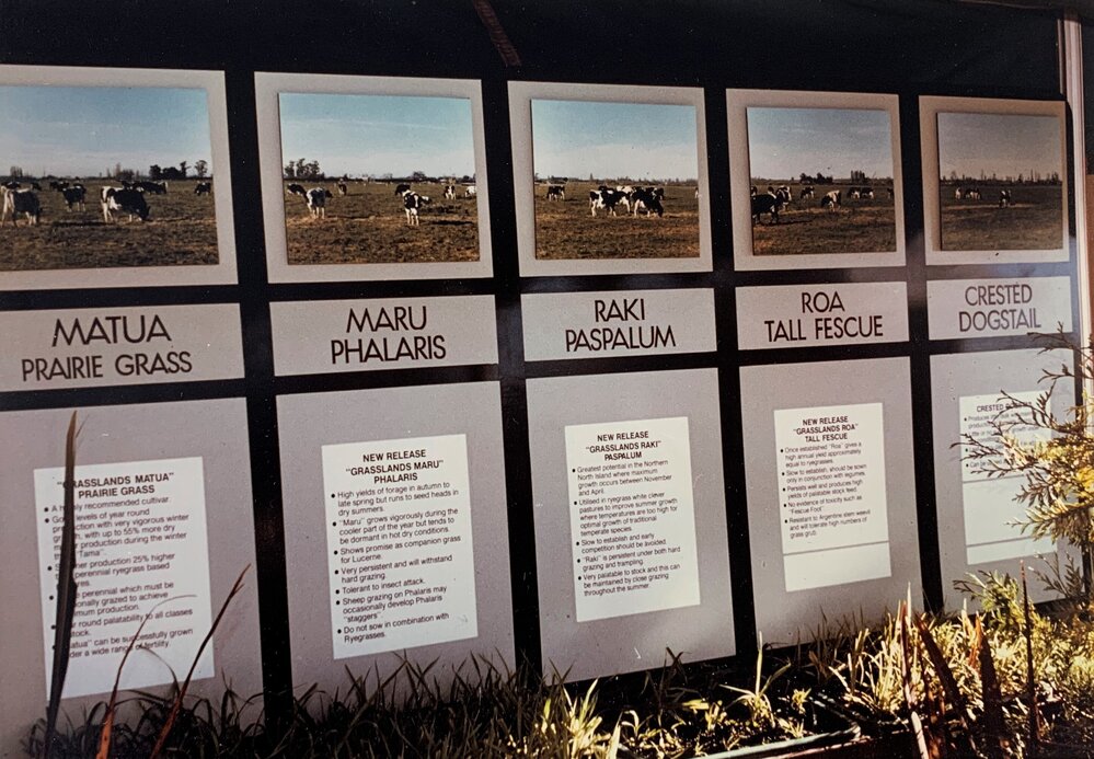 Display boards - Grasses - 1 of 3