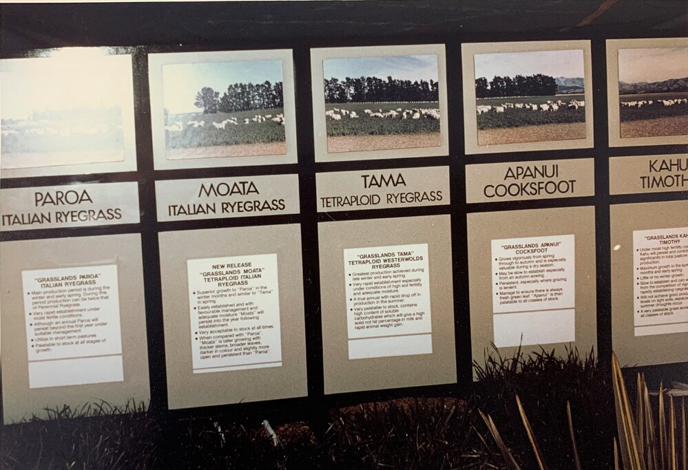Display boards - Grasses - 2 of 3