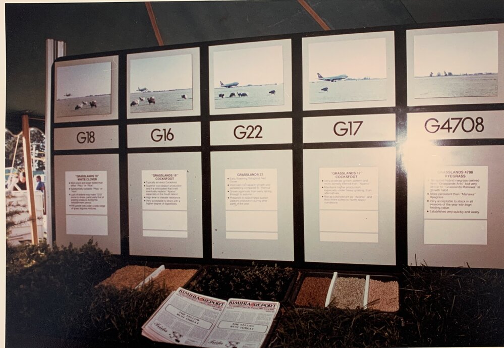 Display boards - Grasses - 3 of 3