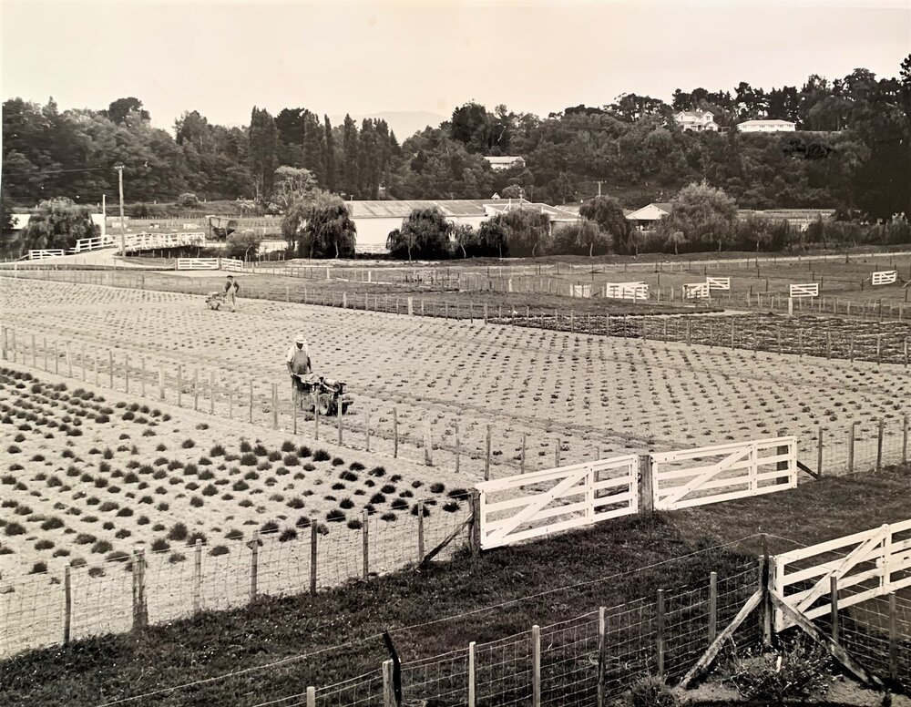 Grasslands plots - 5 of 7