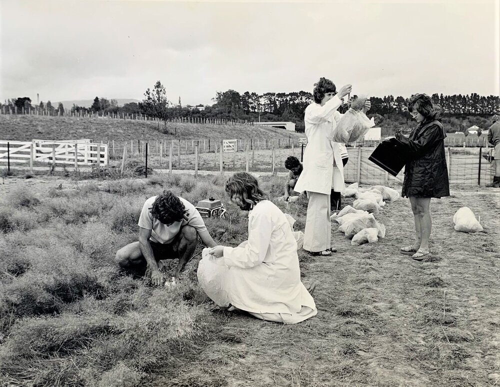 Weighing herbage samples