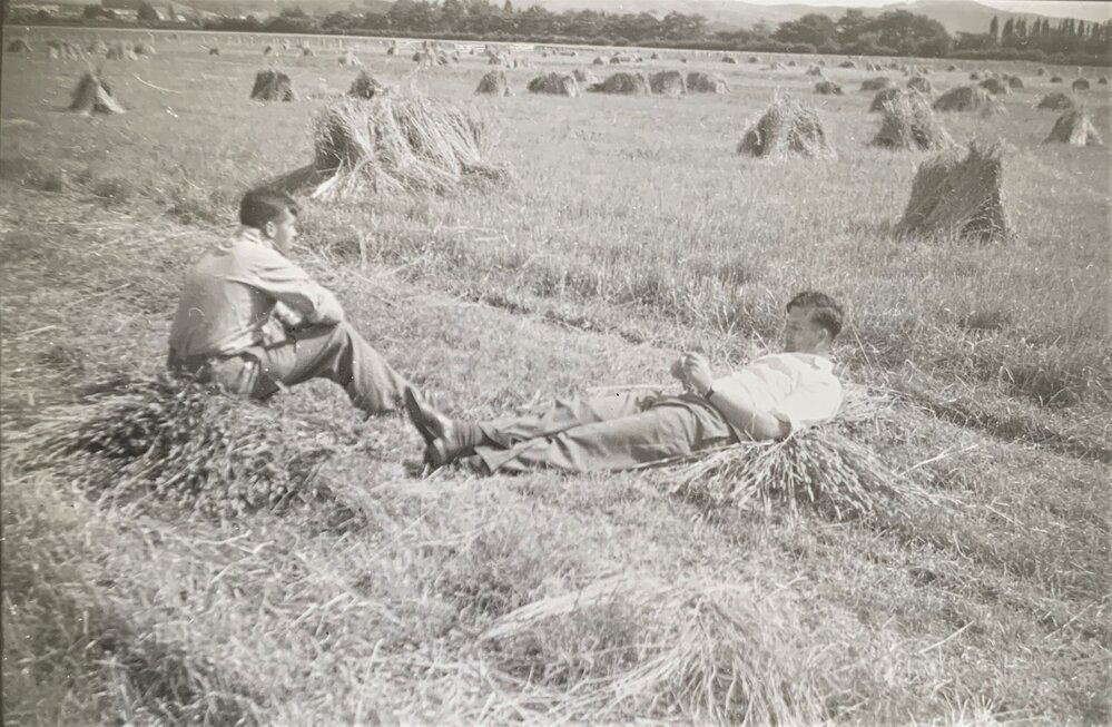 Haymaking breaktime
