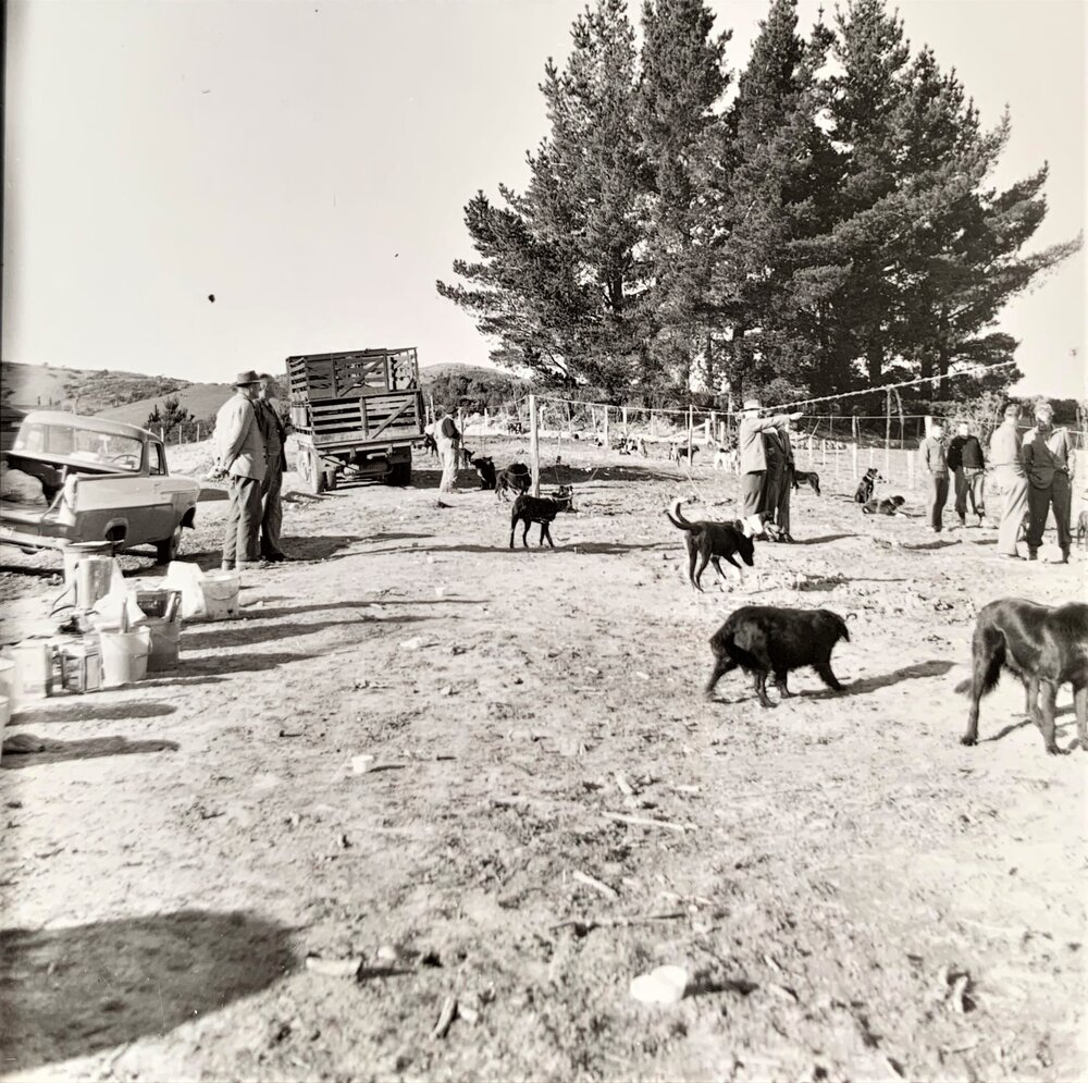 Men and dogs - 2 of 3