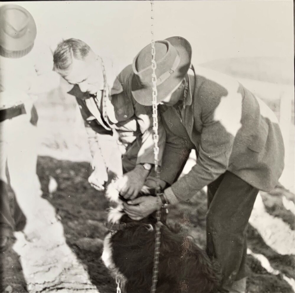 Men and dogs - 3 of 3