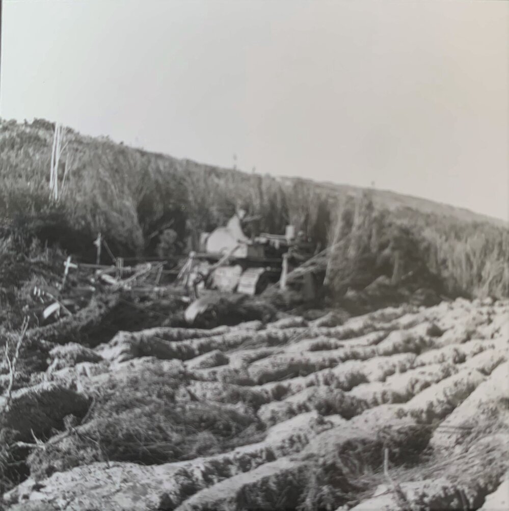 Ploughing scrub - 2 of 3