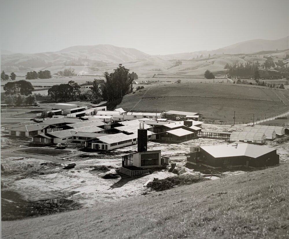 Campus buildings at Invermay under construction