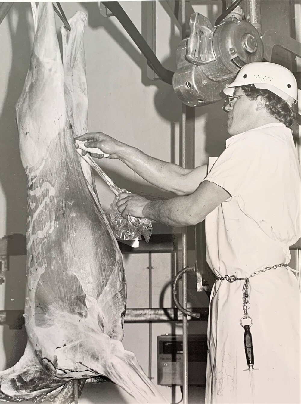 Carcass dressing - removing bone
