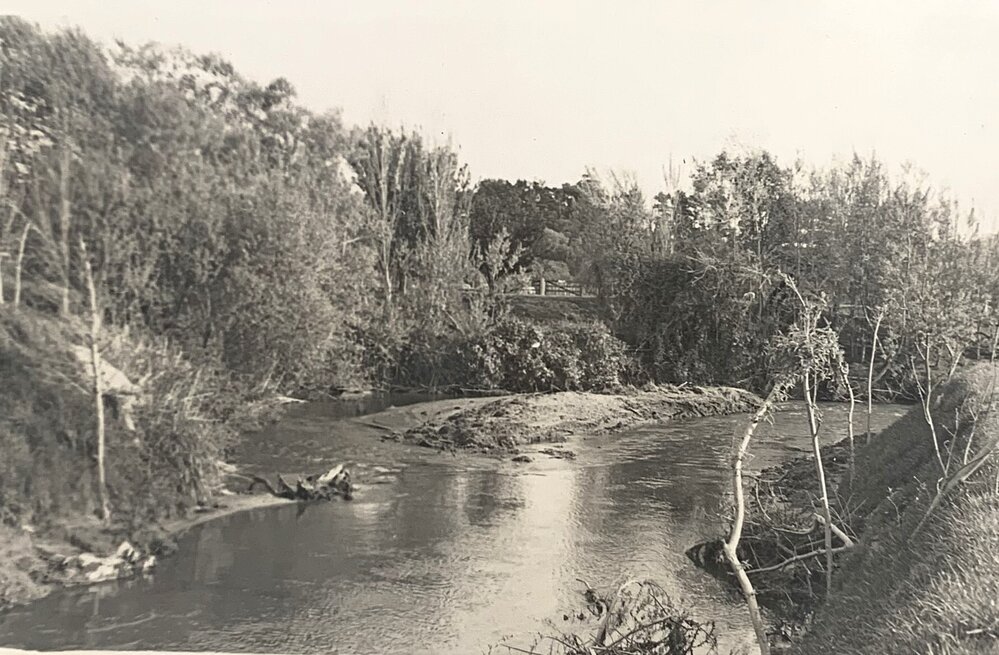 Turitea stream - new cut - 1 of 4