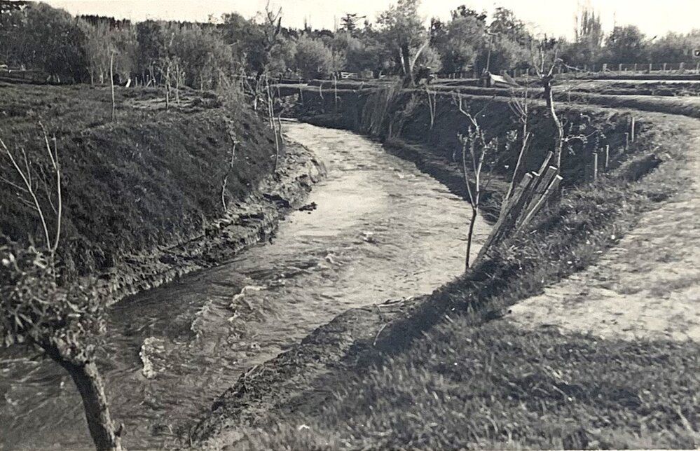 Turitea stream - new cut - 3 of 4