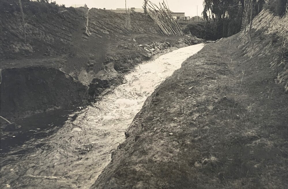 Turitea stream - new cut - 4 of 4