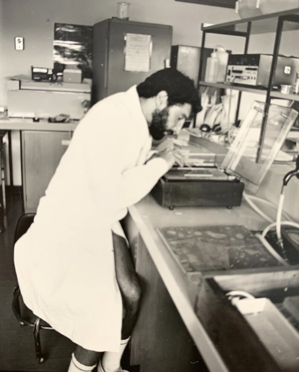 Blood samples from deer at Invermay - 3 of 3