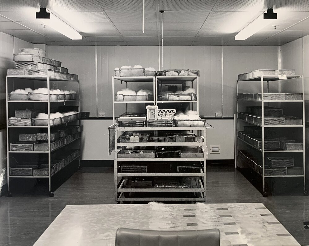 Invermay Wool Lab - 1 of 2