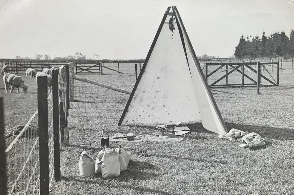 Weighing apparatus for in-field dry matter determination