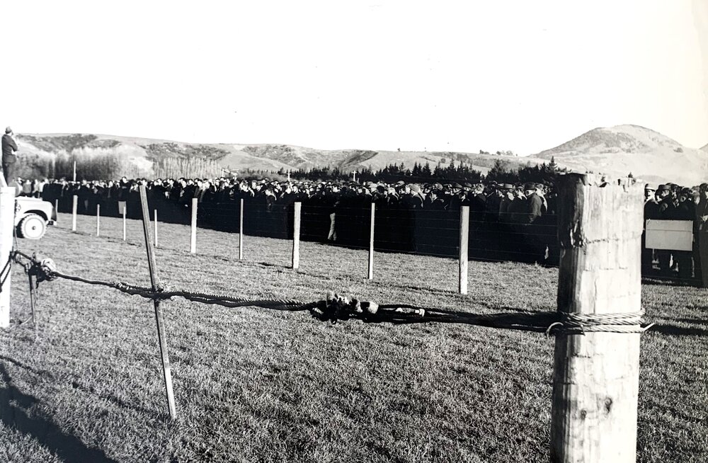 Invermay Farmers Conference 1970 - 3 of 9