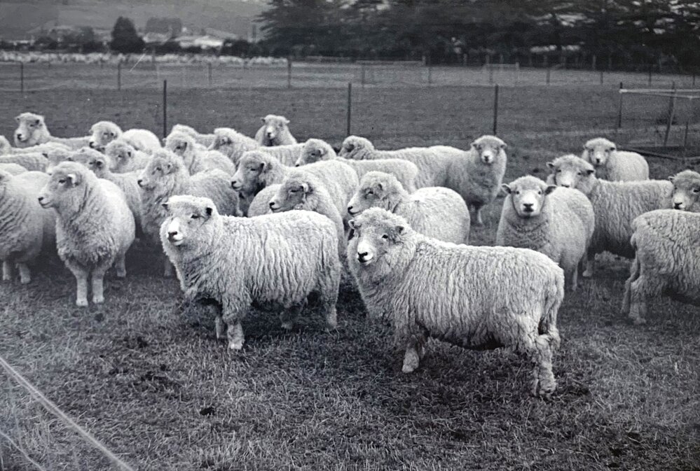 Animal Nutrition Unit - 8 of 10