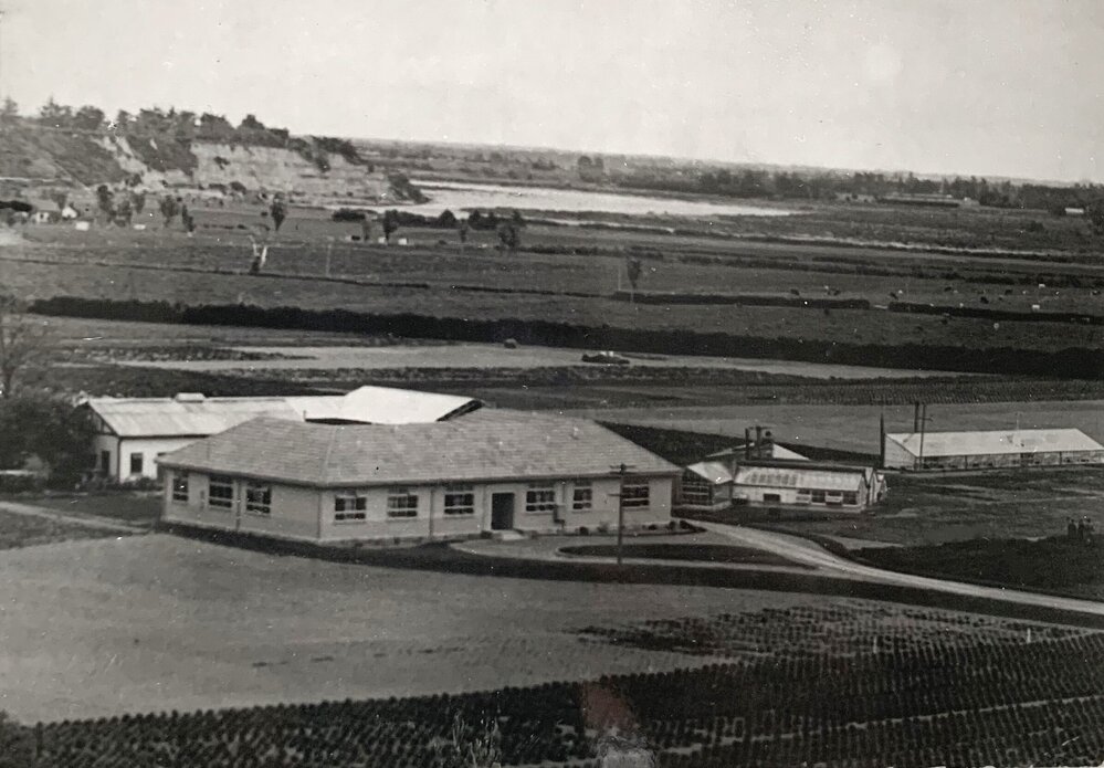 Plant Research Bureau, 1938