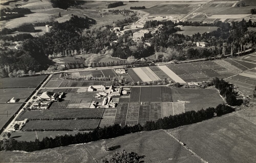 Grasslands Division aerial photograph, 1949